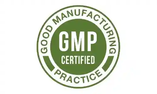vital-rize-gmp-certified